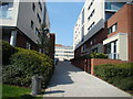 View up the pathway to Goodchild Road from the New River Walkway