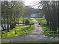 Bridge at Conford Park Lake