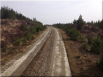NC4323 : Forestry road in Overscaig Plantation by Steven Brown