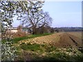 Between the Field and the School