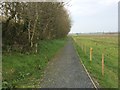 J1068 : Trail to the birdwatching hide, Portmore Lough by Dean Molyneaux
