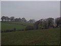 Fields south of Newton Mearns