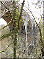 Viaduct over River Carron