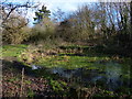 Small pond next to the Grand Union Canal