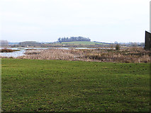 SK8707 : Rutland Water Nature Reserve by Oliver Dixon