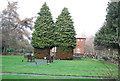 Trees in New Cemetery