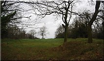 TG1841 : Roman Camp, Beacon Hill by N Chadwick