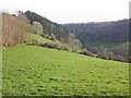 View towards Egypt Copse