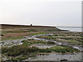 TL9408 : Mudflats & seawall, Tollesbury by Roger Jones