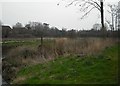 Former lock, Strensall