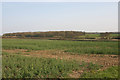 North Bedfordshire countryside