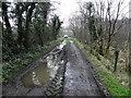 A muddy lane, Drumlegagh