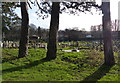 Cemetery in Oadby