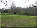 River Wey at Passfield Manor