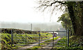 Gate and lane near Comber