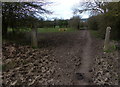 Muddy footpath to Gee