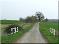 Minor Bridge On Minor Road