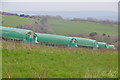 Mid Devon : Poultry Farm