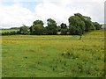 C6404 : Grass fields off Altinure Road by Richard Webb