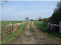 Track to Hallfield Cottage