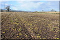 Farmland at Sharpness