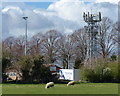 Transmitter mast near Welford Road in Wigston