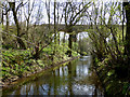 The River Ter and Viaduct