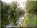 Oakham Canal near Langham