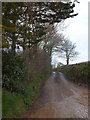 Mud on the road to Bradridge Farm