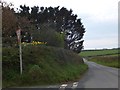 Looking south from Combeshead Cross