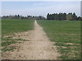 Footpath to Brogdale Road