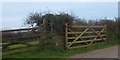 Two designs of five-barred gates