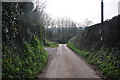 Mid Devon : Country Lane