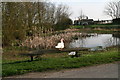 A seat by the pond at Greetham