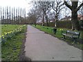 SJ8592 : Path along edge of Ladybarn Park by David Martin