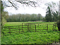 Gate into pasture by Chestnut Tree Farm