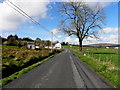 Aghalunny Road, Magherakeel