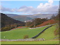 Caeau ger Hafod Dywyll / Fields near Hafod Dywyll