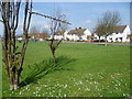 Looking across the playing field at Shepway