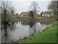 Duck  Pond.  Main  Street.  Askham  Bryan