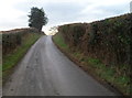 Hedged minor road in rural Monmouthshire