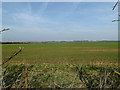 TL2568 : Looking towards Godmanchester by Geographer