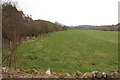 Farmland at Clachaneasy next to the Cree