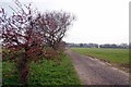 Footpath to Goat House Lane