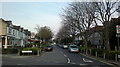 View of Morrab Gardens from Water Lane