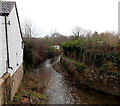 SE along Forge Brook Blakeney