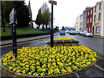 H4472 : Floral display, James Street, Omagh by Kenneth  Allen