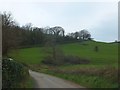 Valley west of Bearscombe