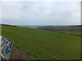 Grassy field east of A381north of Malborough