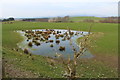 Farmland near West Knockbrex